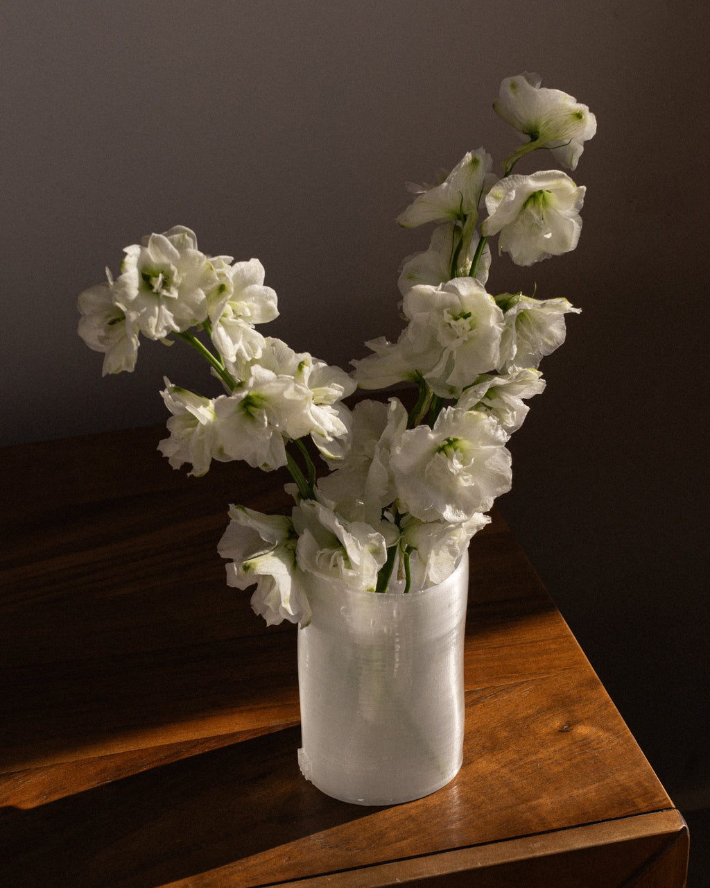 Vin Vase - Oyster